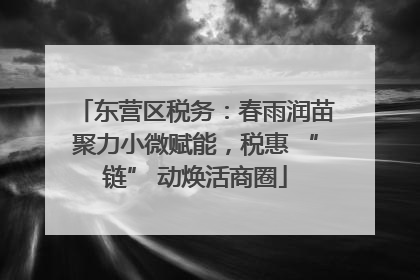 东营区税务：春雨润苗聚力小微赋能，税惠 “链” 动焕活商圈