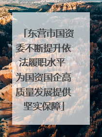 东营市国资委不断提升依法履职水平 为国资国企高质量发展提供坚实保障