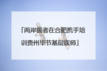 两岸医者在合肥携手培训贵州毕节基层医师