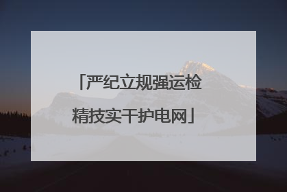 严纪立规强运检 精技实干护电网
