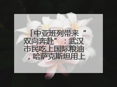 中亚班列带来“双向奔赴”：武汉市民吃上国际粮油，哈萨克斯坦用上鄂产光电屏