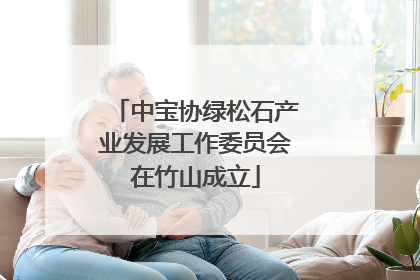 中宝协绿松石产业发展工作委员会在竹山成立