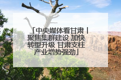中央媒体看甘肃丨聚焦集群建设 加快转型升级 甘肃支柱产业增势强劲