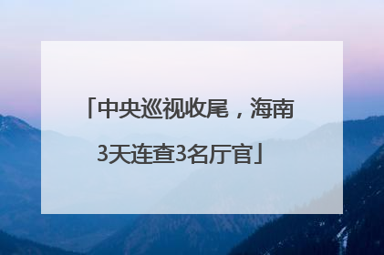 中央巡视收尾，海南3天连查3名厅官