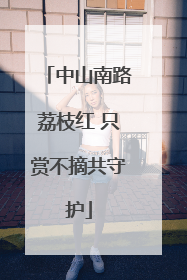中山南路荔枝红 只赏不摘共守护
