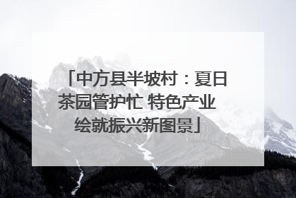 中方县半坡村：夏日茶园管护忙 特色产业绘就振兴新图景