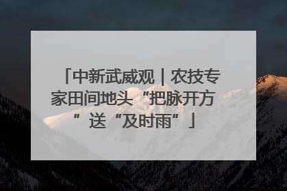 中新武威观｜农技专家田间地头“把脉开方”送“及时雨”
