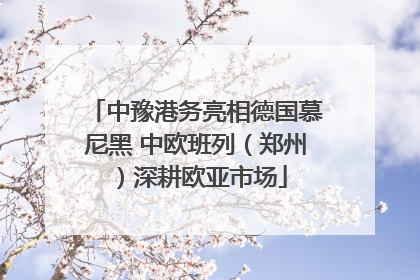 中豫港务亮相德国慕尼黑 中欧班列（郑州）深耕欧亚市场