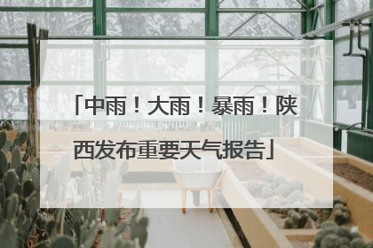 中雨！大雨！暴雨！陕西发布重要天气报告