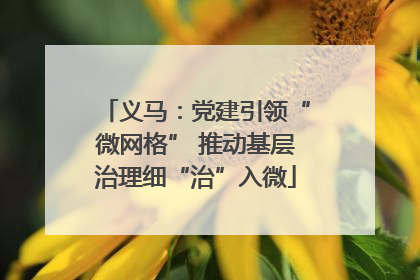 义马：党建引领“微网格” 推动基层治理细“治”入微