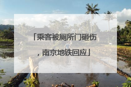 乘客被厕所门砸伤，南京地铁回应