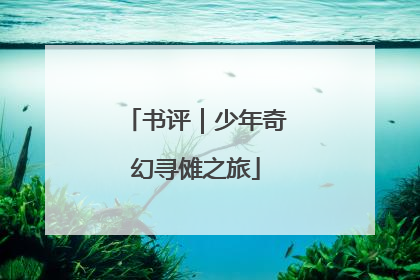 书评｜少年奇幻寻傩之旅