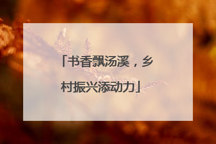 书香飘汤溪，乡村振兴添动力