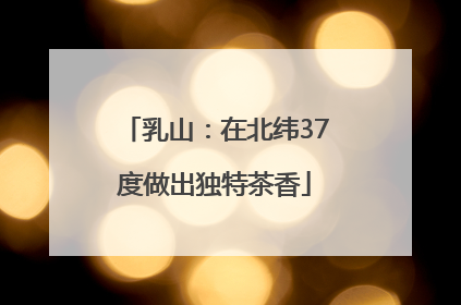 乳山：在北纬37度做出独特茶香