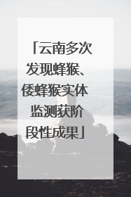 云南多次发现蜂猴、倭蜂猴实体 监测获阶段性成果