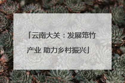 云南大关：发展筇竹产业 助力乡村振兴