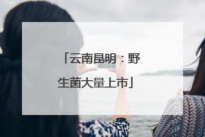 云南昆明：野生菌大量上市