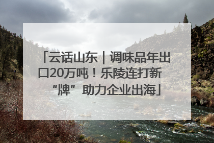 云话山东｜调味品年出口20万吨！乐陵连打新“牌”助力企业出海
