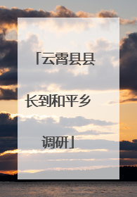 云霄县县长到和平乡调研