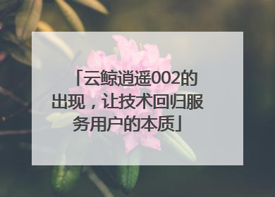 云鲸逍遥002的出现，让技术回归服务用户的本质