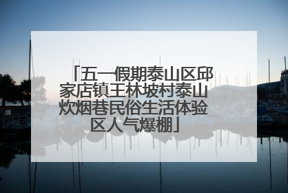 五一假期泰山区邱家店镇王林坡村泰山炊烟巷民俗生活体验区人气爆棚