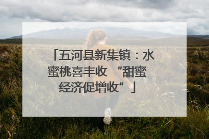 五河县新集镇：水蜜桃喜丰收 “甜蜜经济促增收”