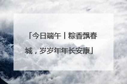 今日端午丨粽香飘春城，岁岁年年长安康