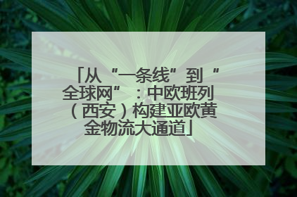 从“一条线”到“全球网”：中欧班列（西安）构建亚欧黄金物流大通道