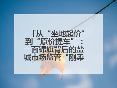 从“坐地起价”到“原价提车”：一面锦旗背后的盐城市场监管“刚柔并济”