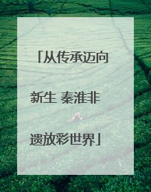 从传承迈向新生 秦淮非遗放彩世界