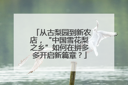 从古梨园到新农店，“中国雪花梨之乡”如何在拼多多开启新篇章？