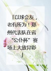 以球会友，老有所为！郑州代表队在省“公仆杯”赛场上大放异彩