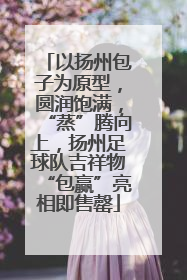 以扬州包子为原型，圆润饱满，“蒸”腾向上，扬州足球队吉祥物“包赢”亮相即售罄