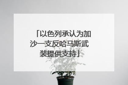 以色列承认为加沙一支反哈马斯武装提供支持