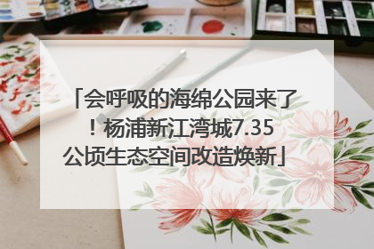 会呼吸的海绵公园来了！杨浦新江湾城7.35公顷生态空间改造焕新
