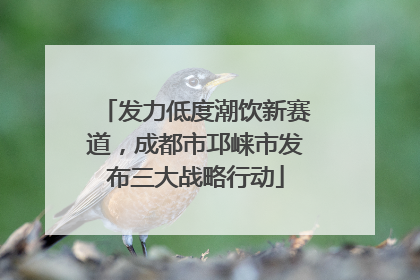 发力低度潮饮新赛道，成都市邛崃市发布三大战略行动