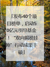 发布40个项目榜单，启动50亿元引导基金！“双向揭榜挂帅”行动成果丰硕