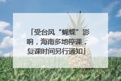 受台风“蝴蝶”影响，海南多地停课，复课时间另行通知