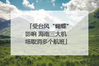受台风“蝴蝶”影响 海南三大机场取消多个航班