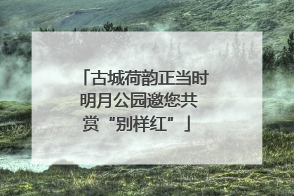 古城荷韵正当时 明月公园邀您共赏“别样红”