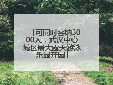 可同时容纳3000人，武汉中心城区最大露天游泳乐园开园