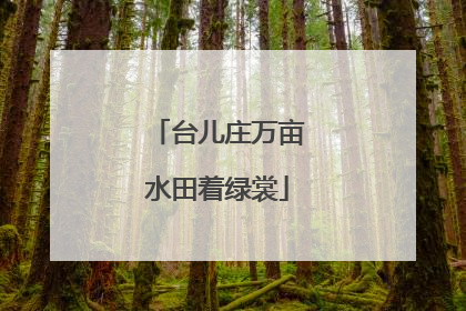 台儿庄万亩水田着绿裳