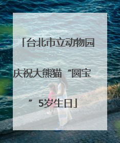 台北市立动物园庆祝大熊猫“圆宝”5岁生日