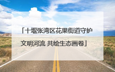 十堰张湾区花果街道守护文明河流 共绘生态画卷