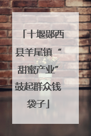 十堰郧西县羊尾镇“甜蜜产业”鼓起群众钱袋子