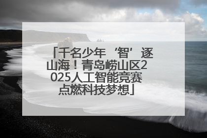 千名少年‘智’逐山海！青岛崂山区2025人工智能竞赛点燃科技梦想
