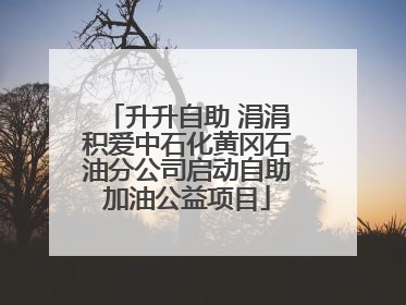 升升自助 涓涓积爱中石化黄冈石油分公司启动自助加油公益项目