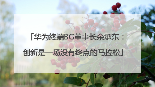 华为终端BG董事长余承东：创新是一场没有终点的马拉松