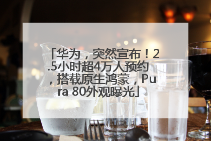 华为，突然宣布！2.5小时超4万人预约，搭载原生鸿蒙，Pura 80外观曝光