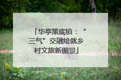 华亭策底镇：“三气”交融绘就乡村文旅新图景